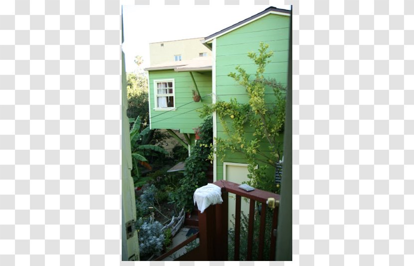 Window Property Tree Meter Yard - Home Transparent PNG