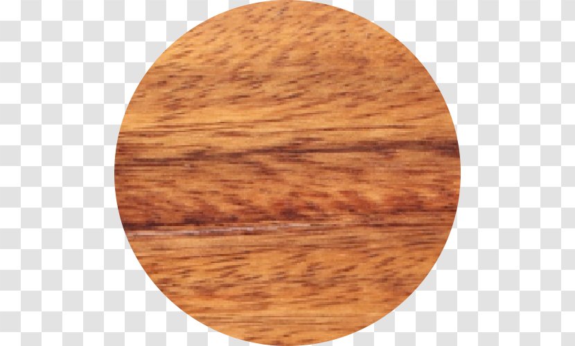 Enterolobium Cyclocarpum Plywood Wood Stain Lumber - Varnish - Circle Transparent PNG
