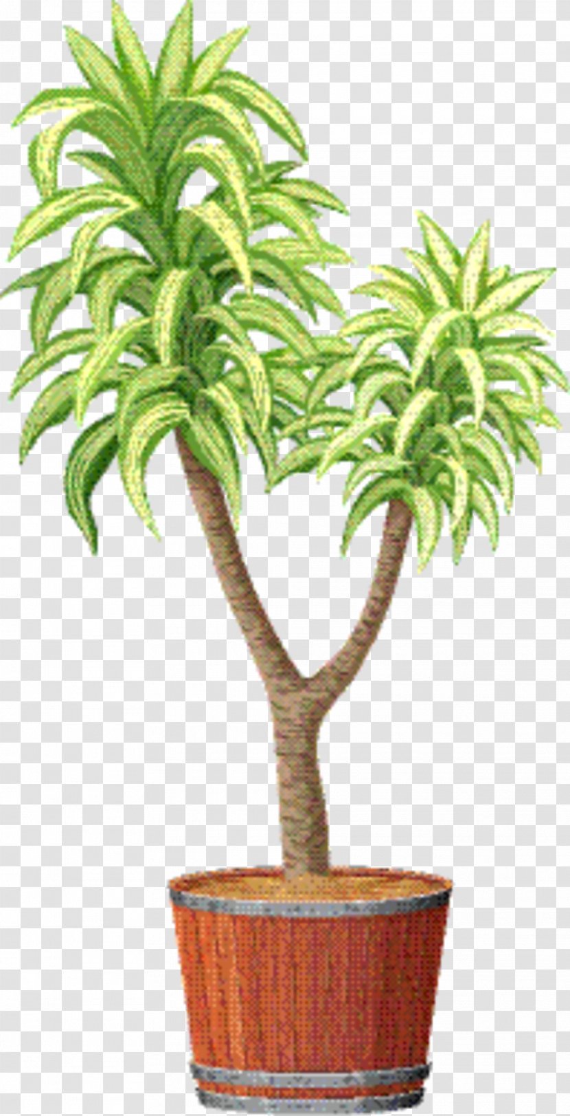 Palm Tree Background - Plant - Date Stem Transparent PNG