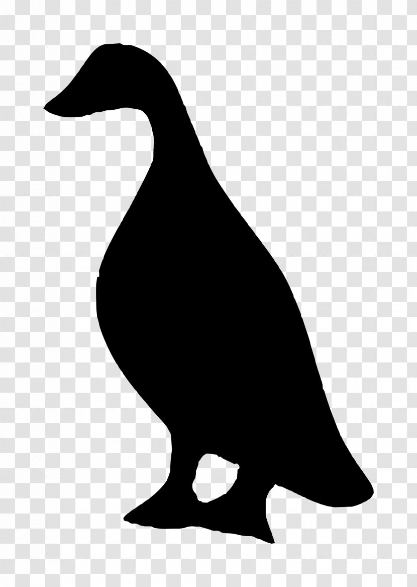 Duck Bird Silhouette Goose - Water - DUCK Transparent PNG