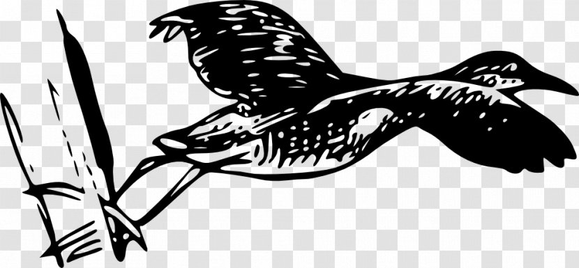 Bird Line Art Drawing - Of Prey Transparent PNG
