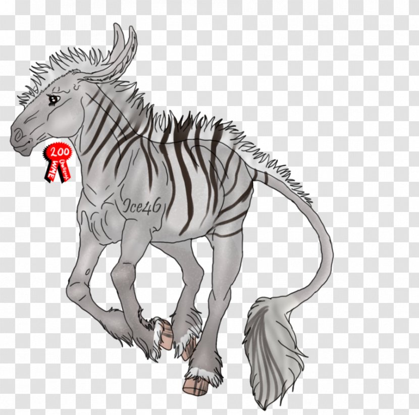 Quagga Extinction Zebra Animal - Legendary Creature Transparent PNG