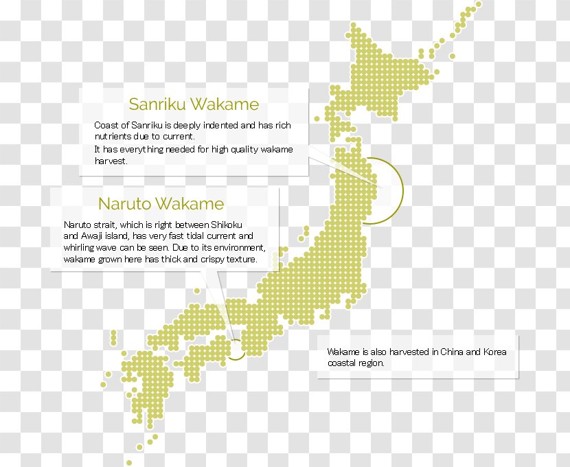 Japan Rail Pass Vector Graphics World Map - Stock Photography - Korean Wave Transparent PNG