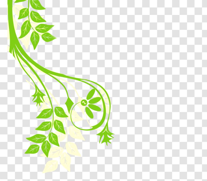 Der Späte Frühling Plant Stem Leaf Flower Clip Art - Fresh Green Transparent PNG