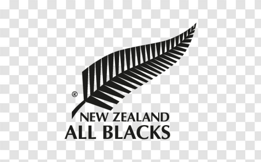 New Zealand National Rugby Union Team Logo マーク - Hoki Transparent PNG