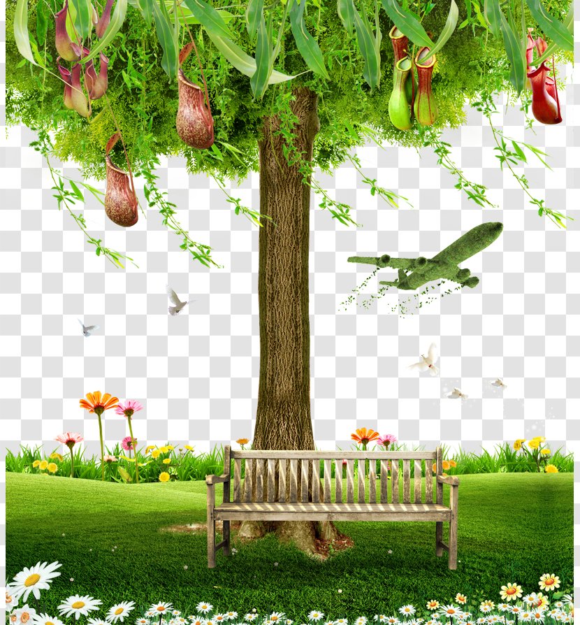 Chair Tree Computer File - Gratis - Large Trees Transparent PNG