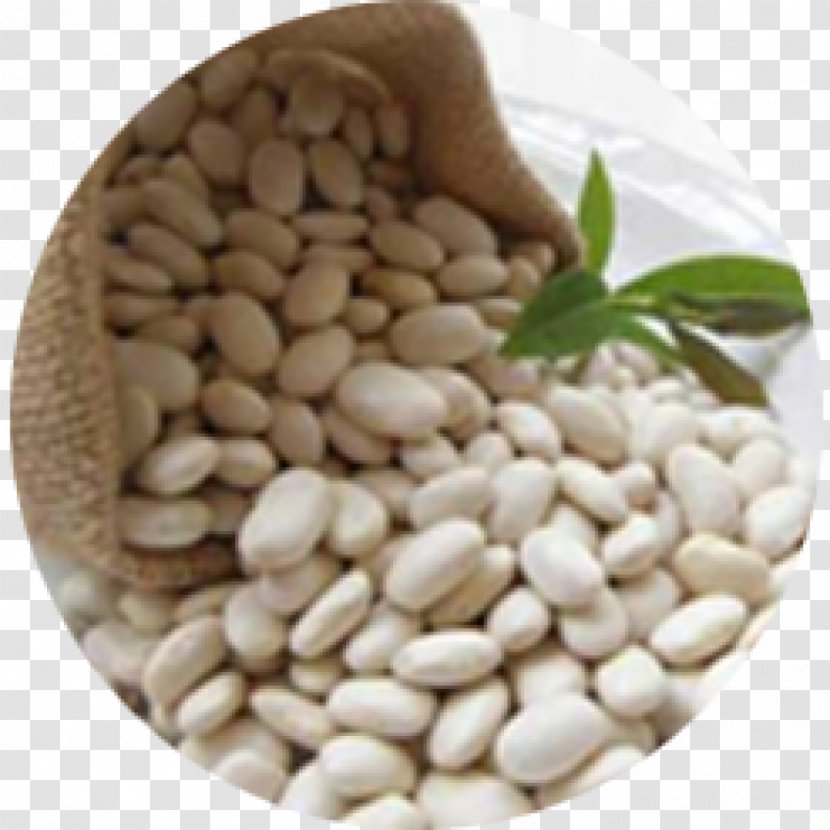Kidney Bean Navy Dal Carbohydrate - Health - Black Beans Transparent PNG