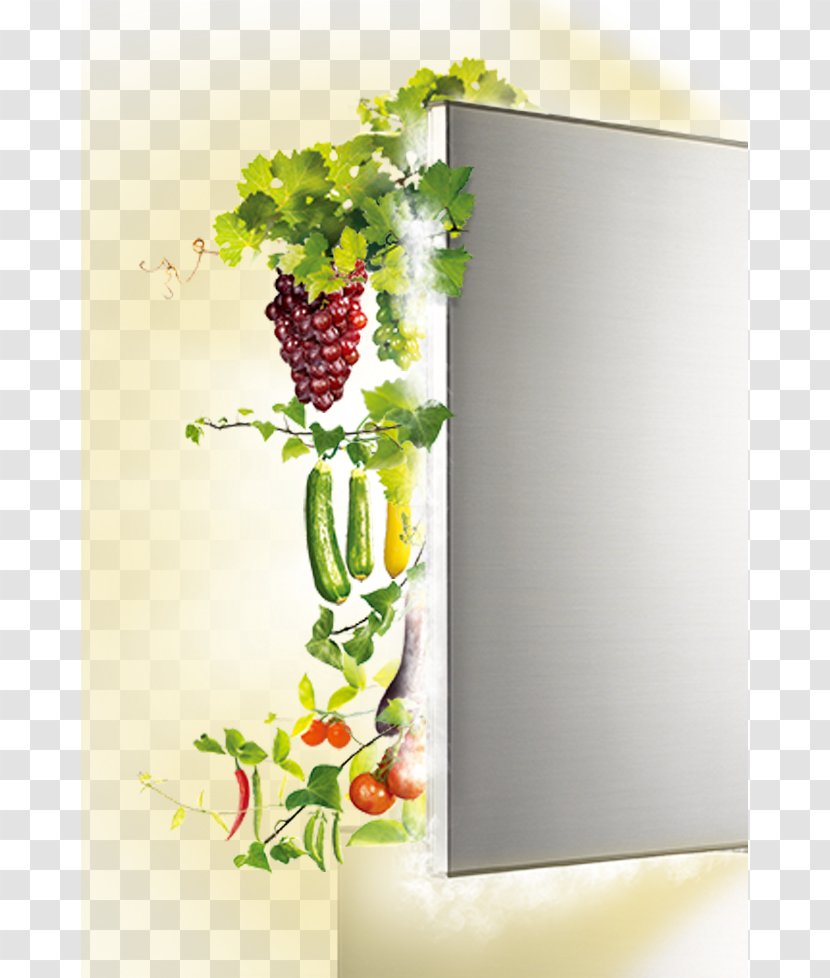 Euclidean Vector Icon - Picture Frame - Refrigerator Transparent PNG