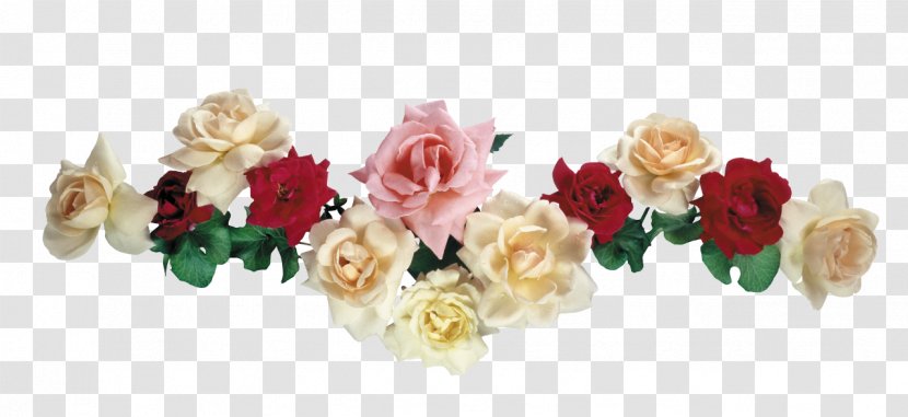 Rose - Photography - Body Jewelry Transparent PNG