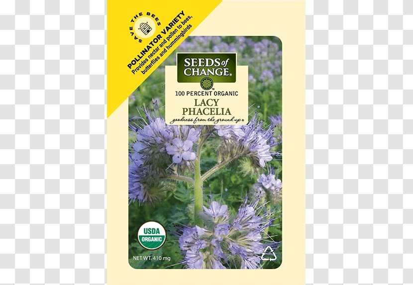 English Lavender Seeds Of Change The Home Depot Flower - Squash Soup Transparent PNG