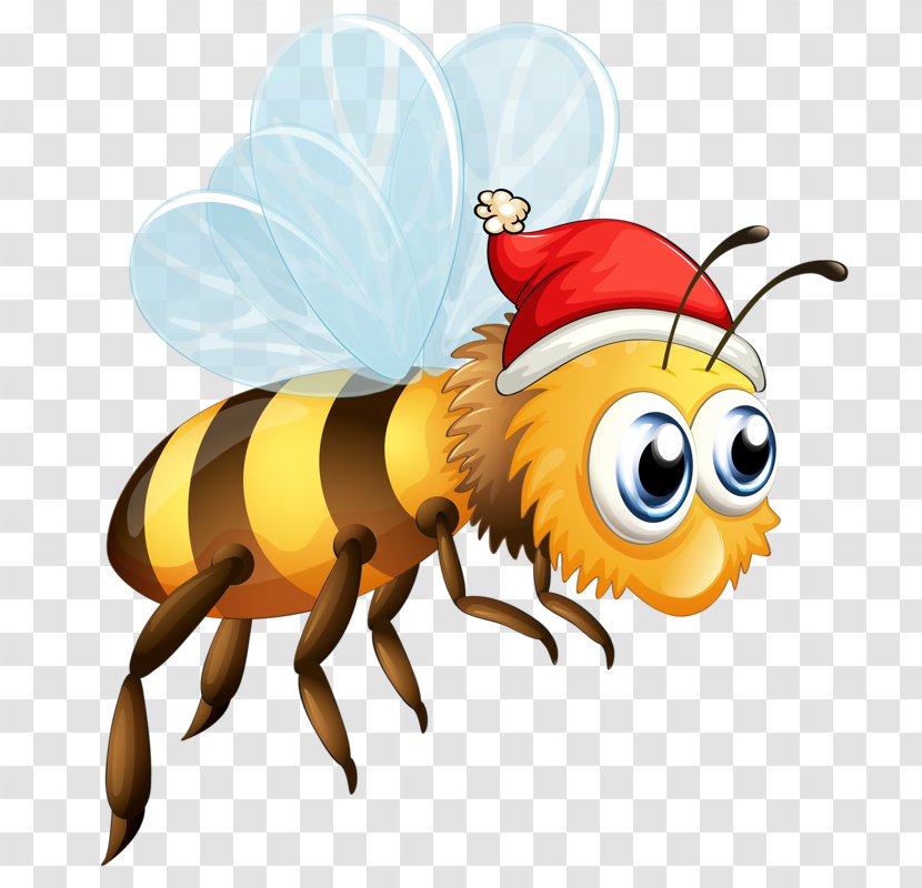 Honey Bee Insect Clip Art Transparent PNG