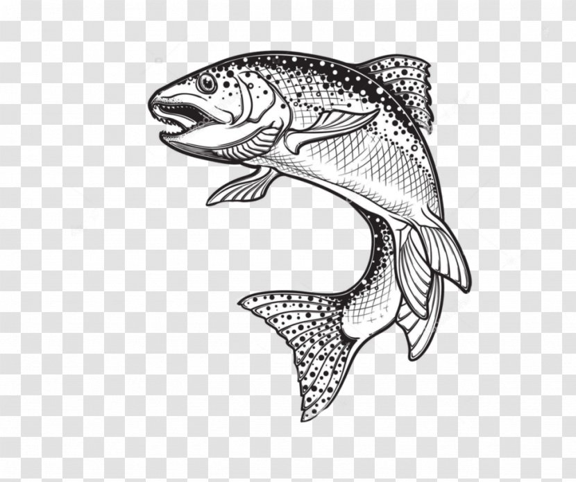 Rainbow Trout Drawing Sketch Vector Graphics Illustration - Brook - Fish Transparent PNG
