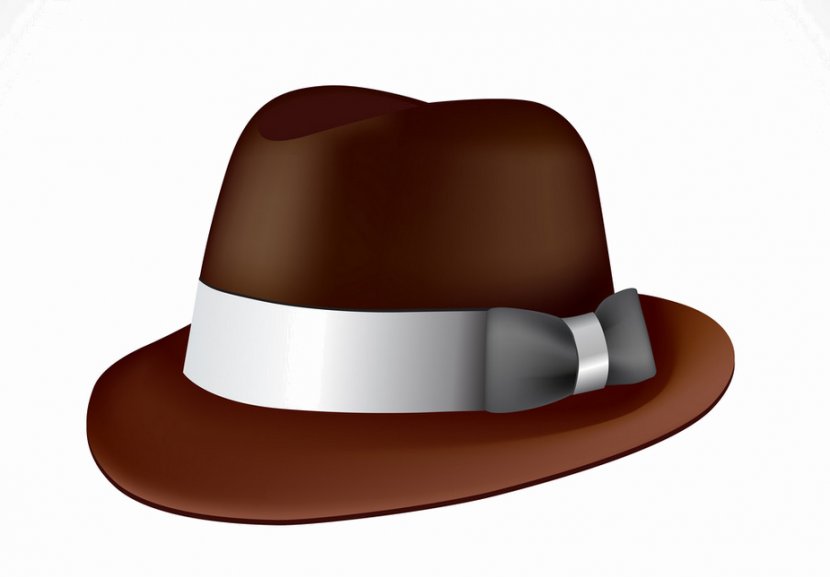 Cowboy Hat - Brown - Costume Accessory Transparent PNG