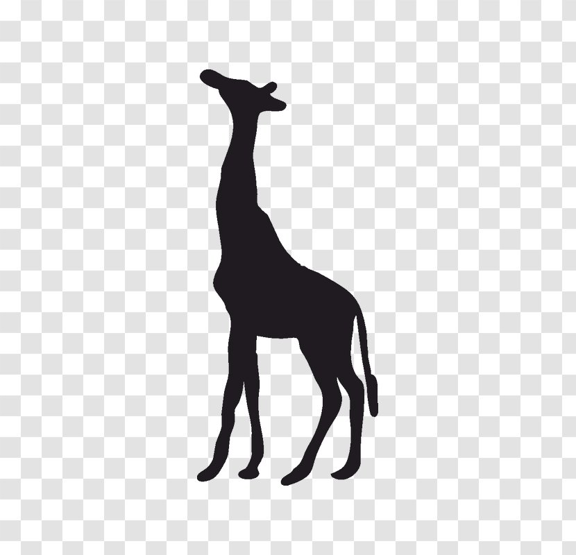 Clip Art Silhouette Image Northern Giraffe - Reticulated Transparent PNG