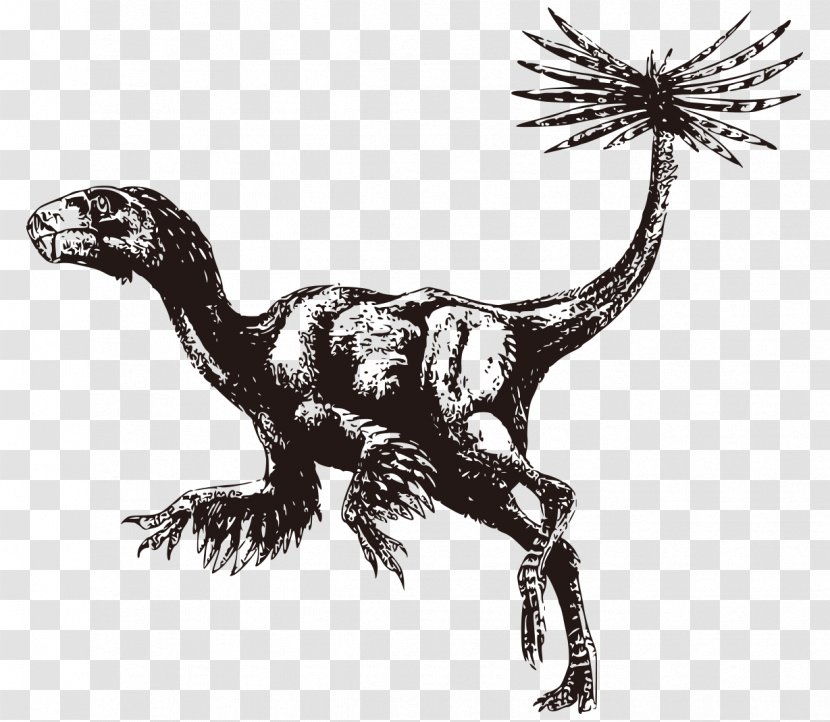 Caudipteryx Oviraptor Bird Dinosaur Therizinosaurus - Ancient Animal Hand-drawn Black And White Horror Transparent PNG