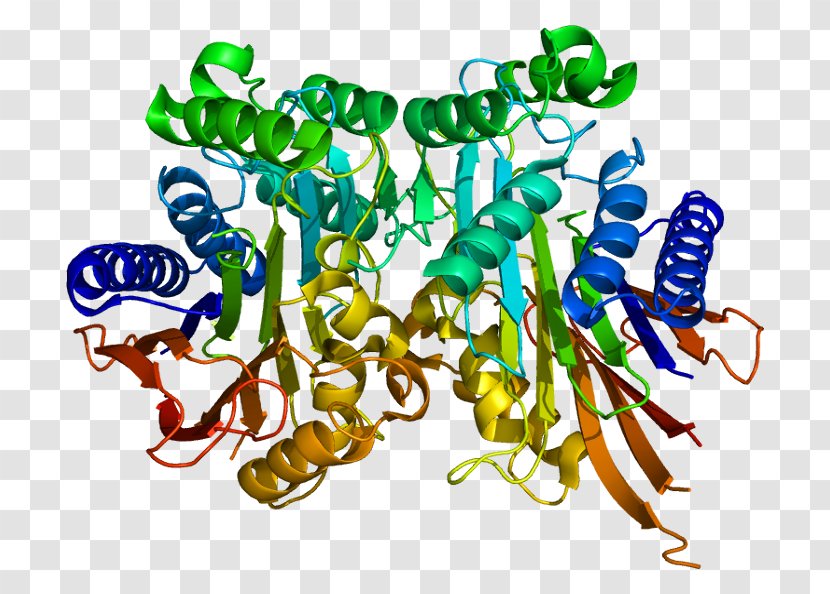 TASP1 Protein Gene Enzyme Protease - Cartoon - Flower Transparent PNG