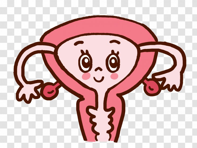 Uterine Fibroid Pregnancy 女性ホルモン Hormone Menstruation - Heart Transparent PNG