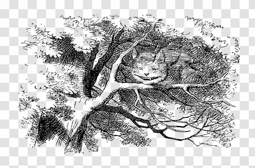 Alice's Adventures In Wonderland Mad Hatter Cheshire Cat White Rabbit - Artwork - Book Transparent PNG