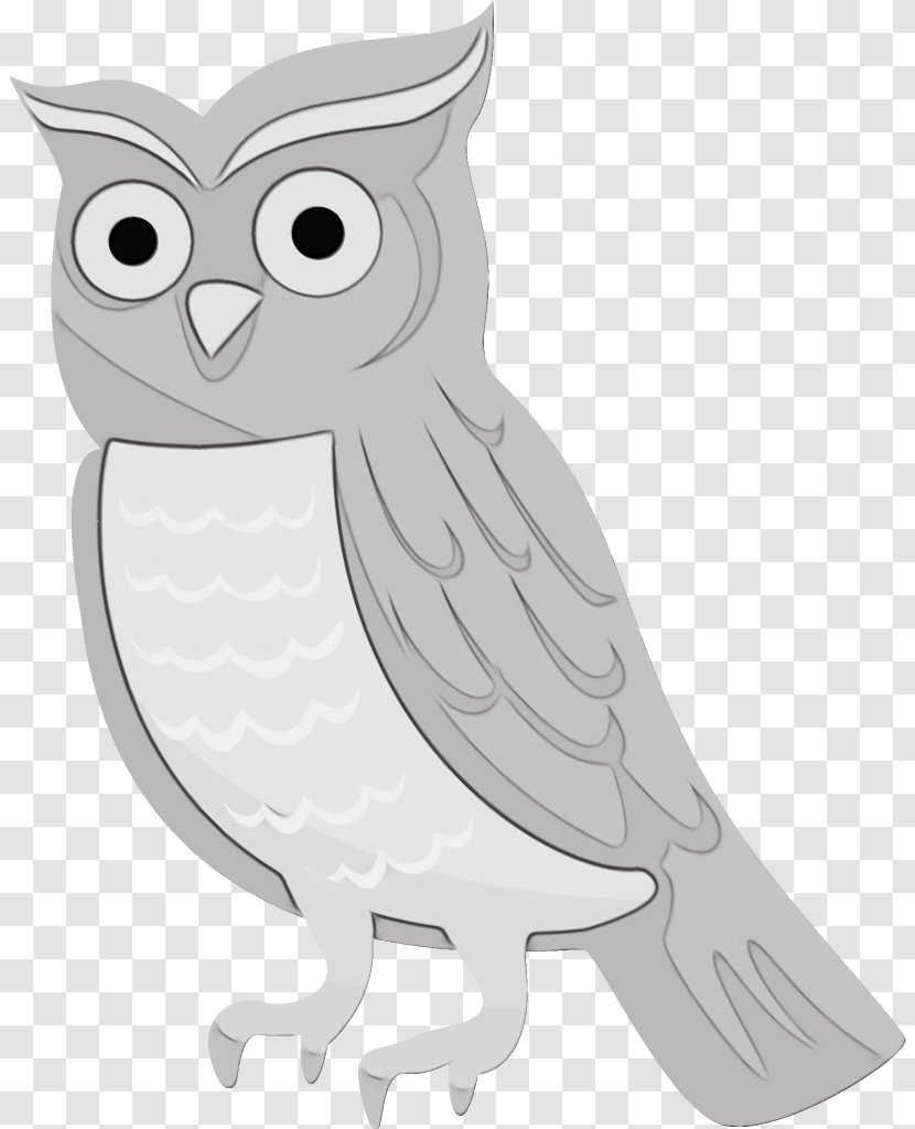 Owl Bird White Of Prey Snowy - Screech Beak Transparent PNG