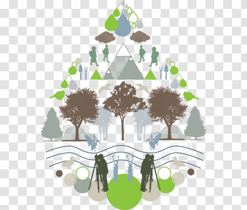 Green Leaf Logo - Ecology - Arch Transparent PNG