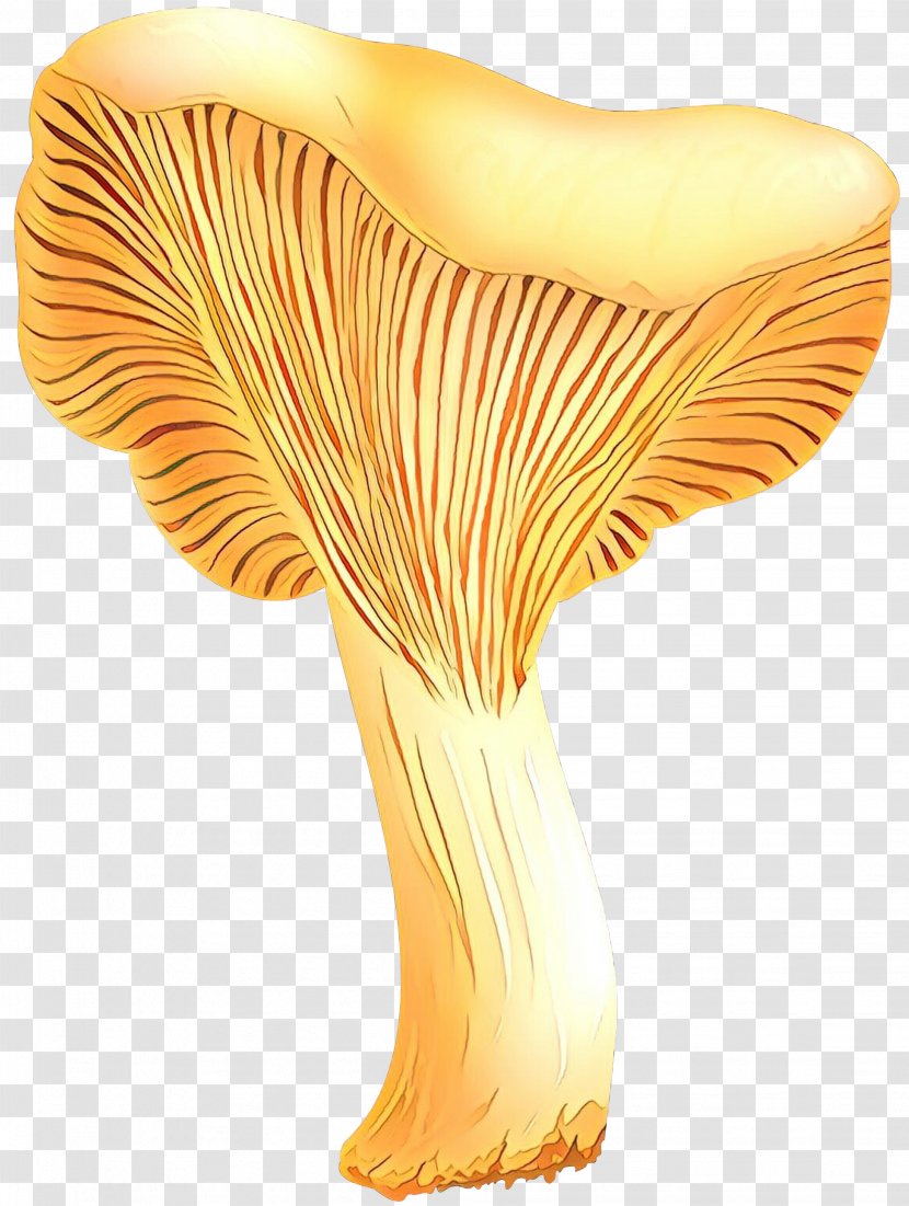 Vase Orange S.A. - Fungus - Edible Mushroom Transparent PNG