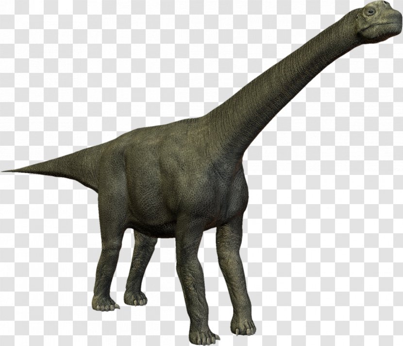 Dinosaur Camarasaurus Velociraptor PhotoScape - Computer Software Transparent PNG