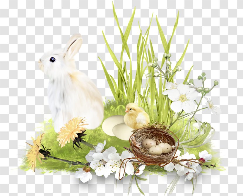 Easter Bunny Domestic Rabbit Scrapbooking Egg Transparent PNG