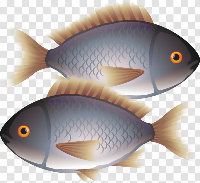 Painted Fish Pollution Eating Euclidean Vector Transparent PNG