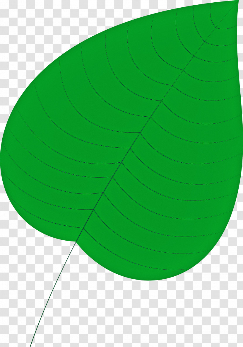 Leaf Circle Angle Green Science Transparent PNG