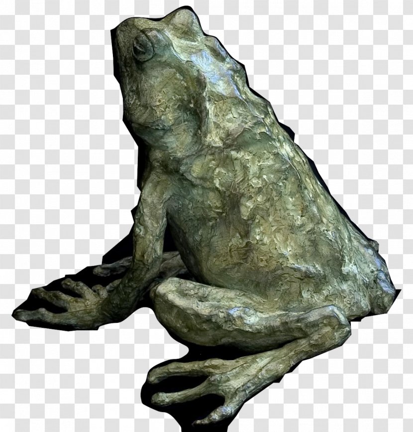 Toad True Frog Bronze Sculpture Tree Transparent PNG