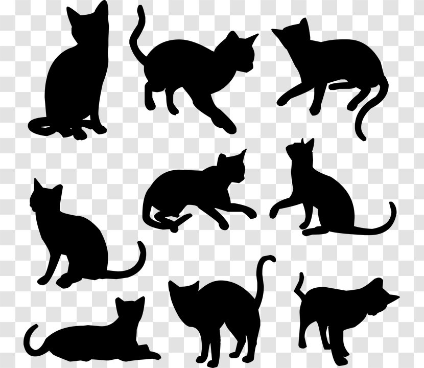 Kitten Siamese Cat Pet Black Clip Art Transparent PNG