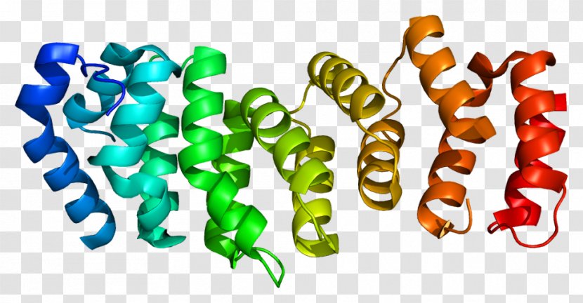 FANCE FANCA Fanconi Anemia, Complementation Group C Protein Gene - Silhouette Transparent PNG