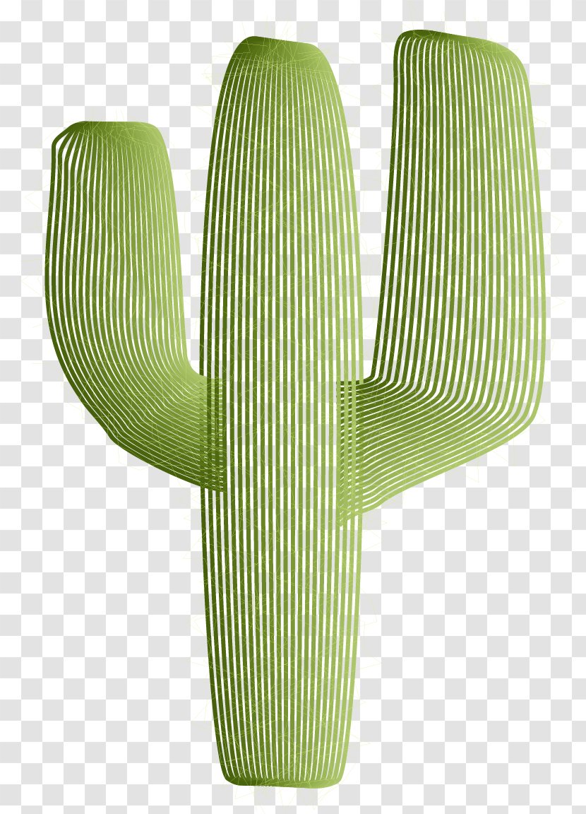 Green Cactaceae - Tropics - Vector Painted Cactus Transparent PNG