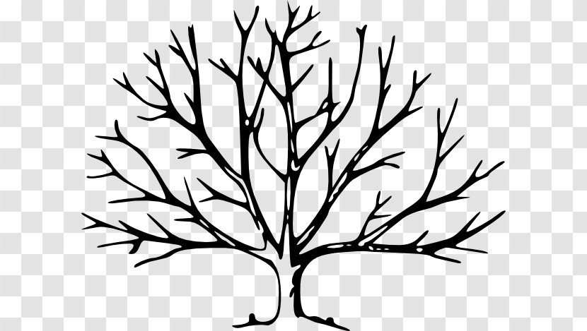 Tree Drawing Silhouette Clip Art - Twig - Trunk Images Transparent PNG