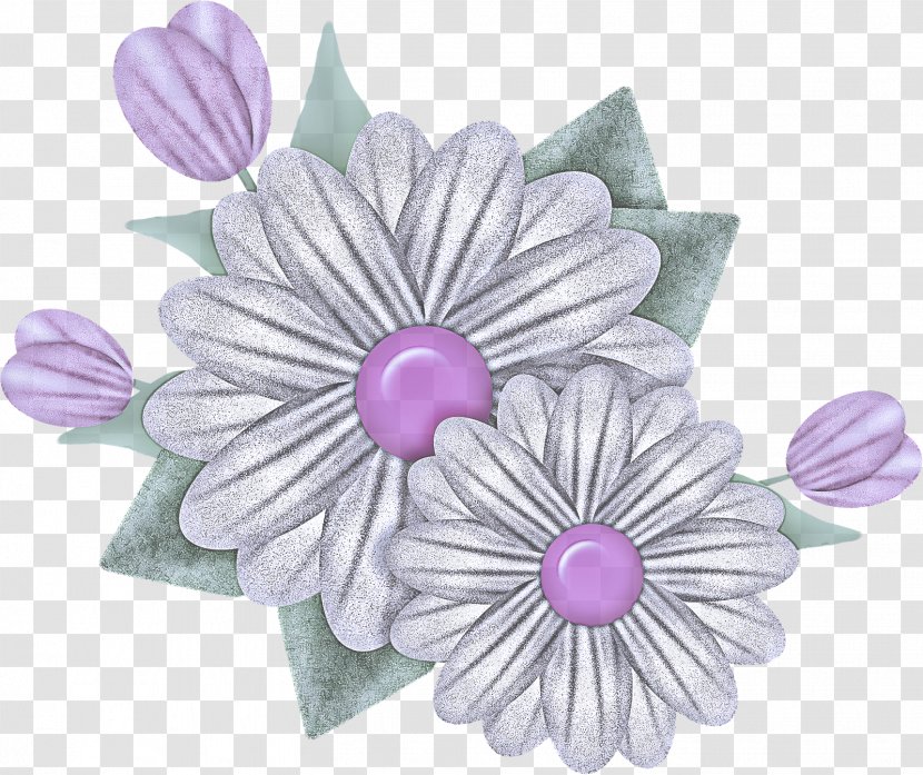 Pink Petal Purple Flower Violet - Aster - Plant Transparent PNG