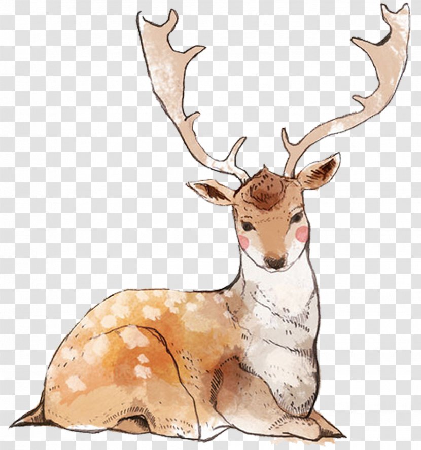 Reindeer Watercolor Painting - Horn - Hand Painted Giraffe Transparent PNG