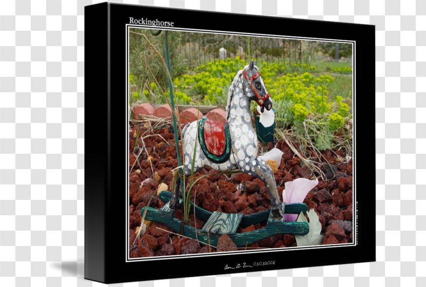 Horse Art Picture Frames Recreation Mammal - Like Transparent PNG