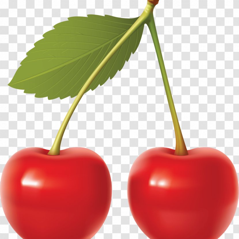 Cherry Clip Art - Maraschino - Fruit Transparent PNG