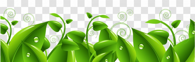 Flower Stock Photography Clip Art - Footage - Green Leaves Transparent PNG