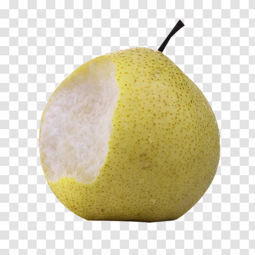 Asian Pear Citron Google Images - Bite Of The Picture Material Transparent PNG