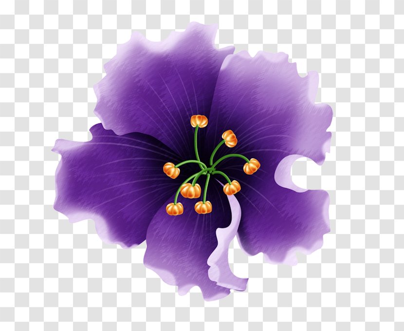 Hibiscus Flower - Purple - Mallow Family Wildflower Transparent PNG