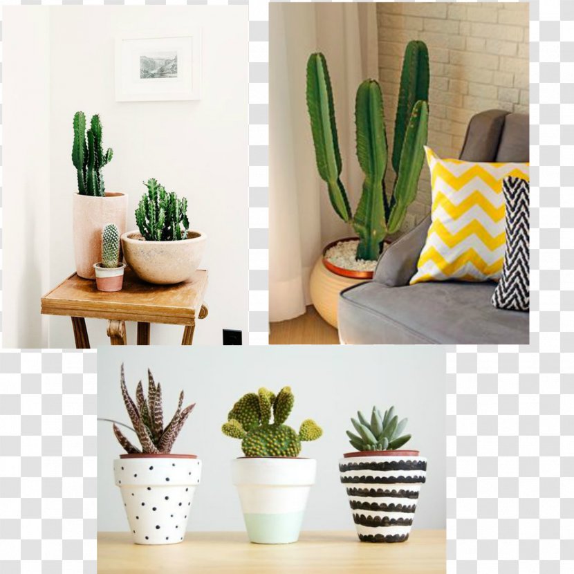Cactaceae Houseplant Cactus Garden Succulent Plant Flowerpot - House Transparent PNG