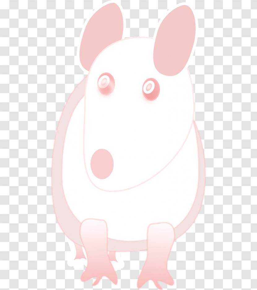 Rat Canidae Rodent Dog Muroids - Frame - Albino Business Transparent PNG