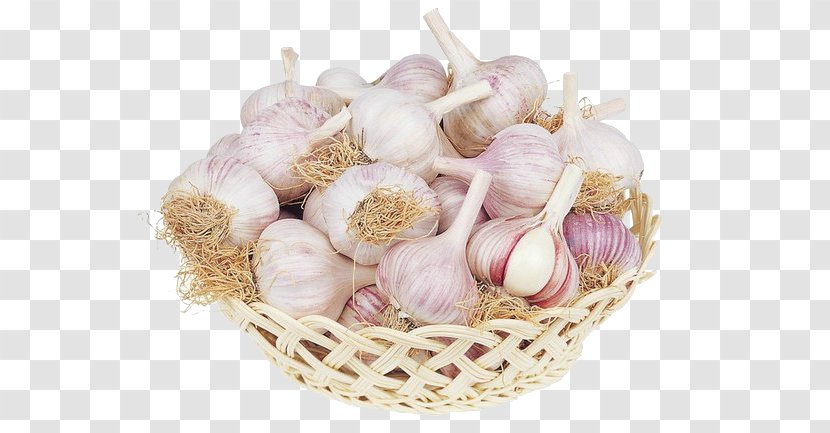 Bronchitis Pneumonia FAQs All About Garlic Disease - Food Transparent PNG