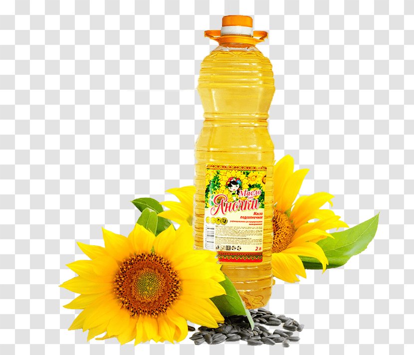 Common Sunflower Oil Seed Food Transparent PNG