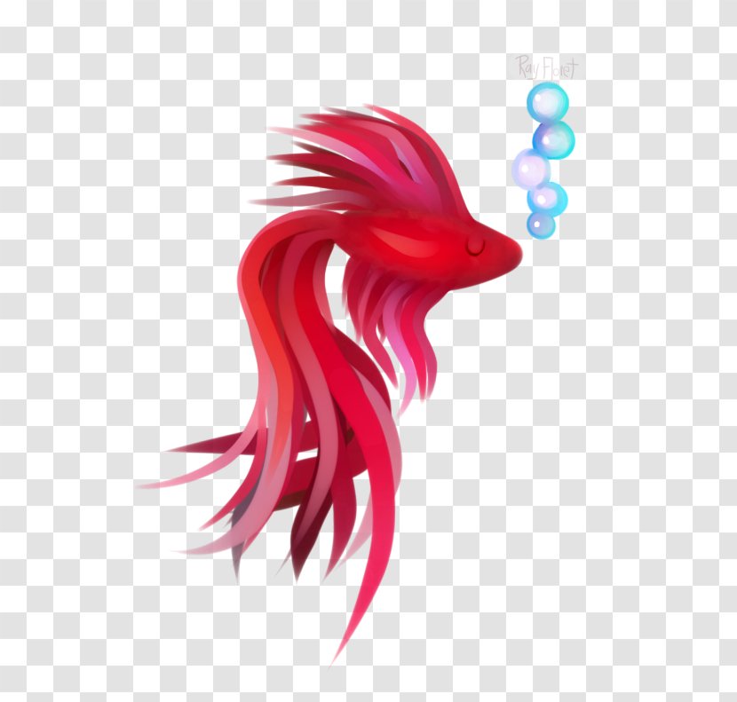 Red Pink Magenta Fish Close-up - Betta Transparent PNG