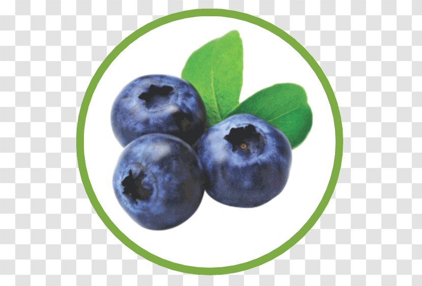 Blueberry Tea American Muffins Juice Food - Natural Foods - Aronia Berries Transparent PNG