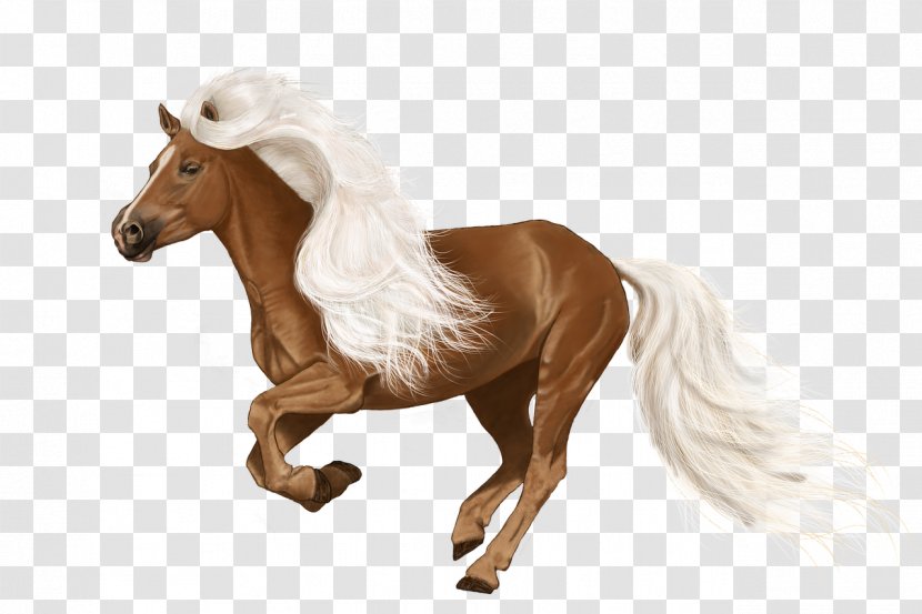 Horse Digital Painting Pony Drawing - Watercolor Transparent PNG