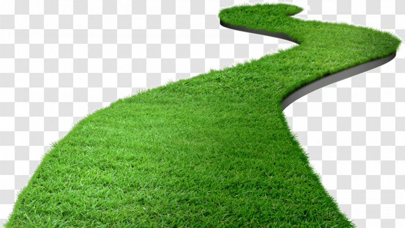 Lawn Download Computer File - Artificial Turf - Road Transparent PNG