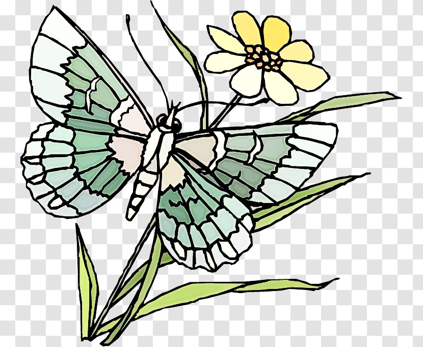 Butterfly Moths And Butterflies Insect Papilio Machaon Plant - Pedicel Pollinator Transparent PNG
